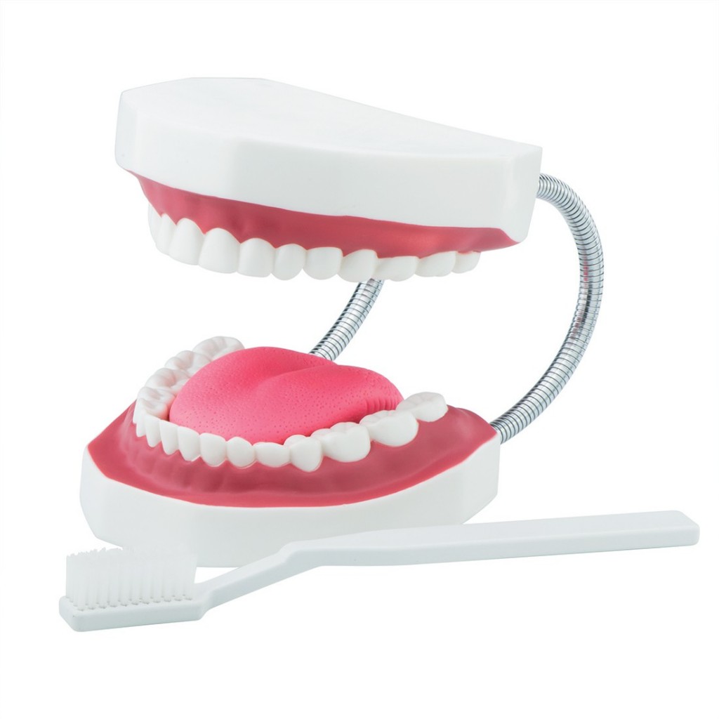 toy dentist stuff